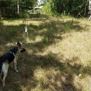 Meet your Posher, Chad